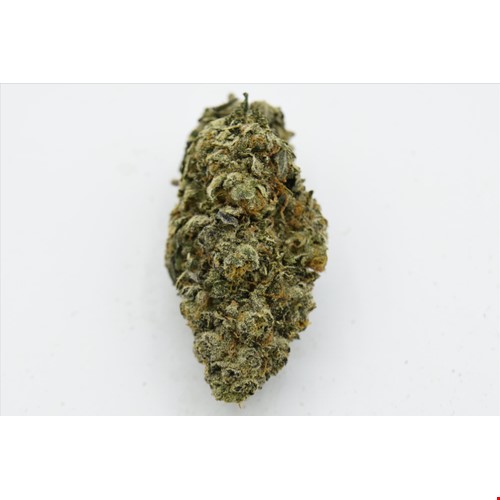 Bubblegum (Hybrid) - SALE 1 OZ $85